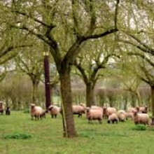 Agrolesnický seminář – Zlín