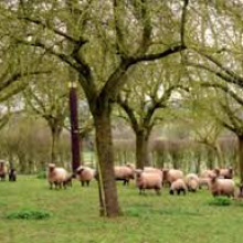 Agrolesnický seminář – Zlín